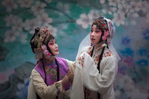 歌仔戏能否成为你的副业选择？探索戏曲爱好者的第二职业可能