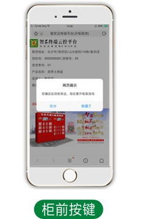哪个平台可以实现dy免费自助下单？探秘高效便捷的智能选择！