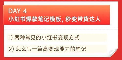 如何在副业中实现个人成长与丰厚收获？