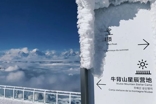 云海是如何实现高效盈利的？背后的赚钱秘诀是什么？