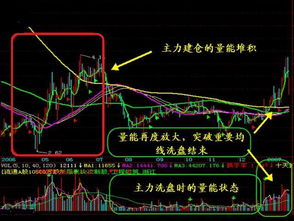 股神究竟如何盈利？他们的炒股秘诀是什么？