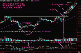 赛马股票真的能赚钱吗？投资赛马股的盈利秘诀是什么？