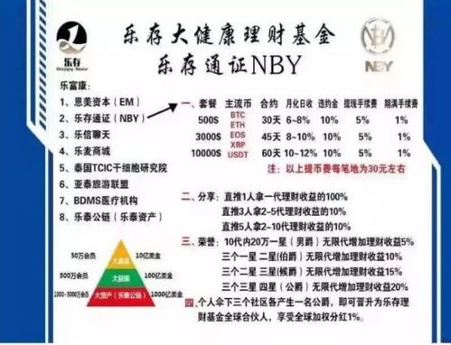 公益组织如何在不违背宗旨的前提下实现盈利？