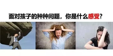 三十载风雨，何以为生？揭秘养家糊口的秘诀