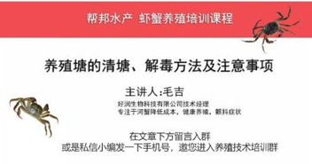 海参养殖真的能带来高收益吗？带你了解其中的赚钱门道