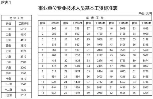 普通教练与省队教练的收入差距究竟有多大？薪资差异背后的秘密你知道吗？