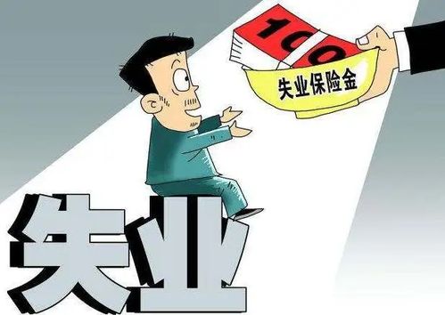 失业保险究竟是什么？它有哪些独特之处值得关注？
