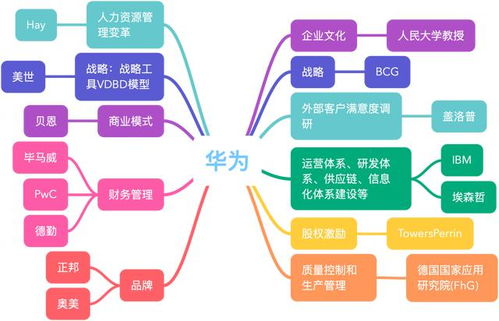 项目网究竟是如何运作的？揭秘其背后的成功秘诀