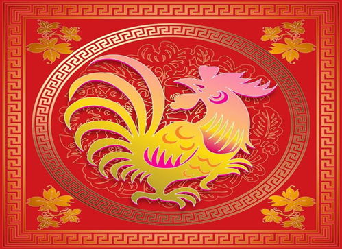 属鸡女性为何在财富积累上独具优势？