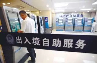 召陵区的学生有福了！如何使用自助服务平台，你知道吗？