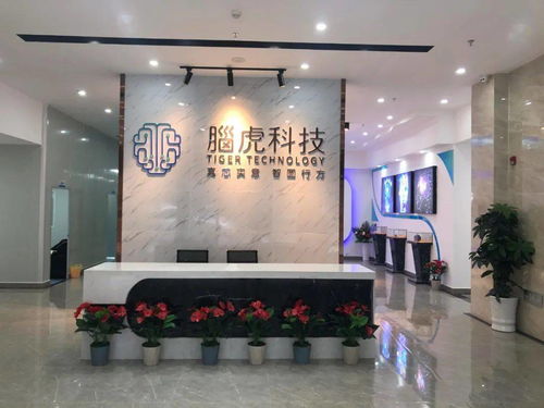 鼎旺科技主营业务是什么？这家公司具体从事哪些领域？