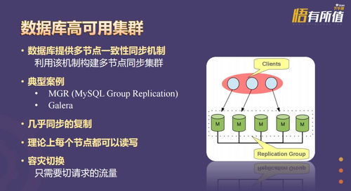 tbcp3制皮工艺中，如何实现高效盈利？你掌握技巧了吗？