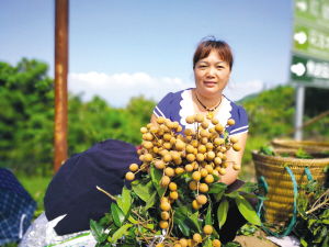 农村丫头靠卖水果能实现财富积累吗？