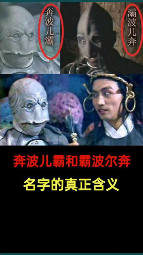 尼限定究竟是什么含义？带你一探究竟