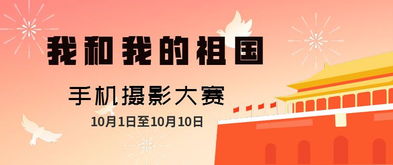 什么样的头条题材拍摄更容易获得高收益？