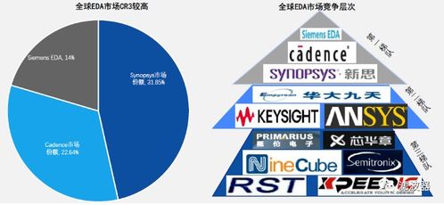 大菲是如何在短时间内实现高效赚钱的？
