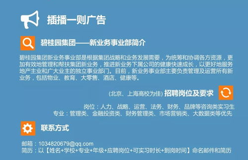 如何进行副业补仓操作？新手必看的实用指南