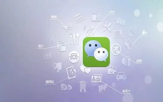 微信童装销售成功的秘诀是什么？哪些方法能提升销量？
