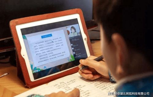 言图教育工作体验如何？这份工作是否容易上手？