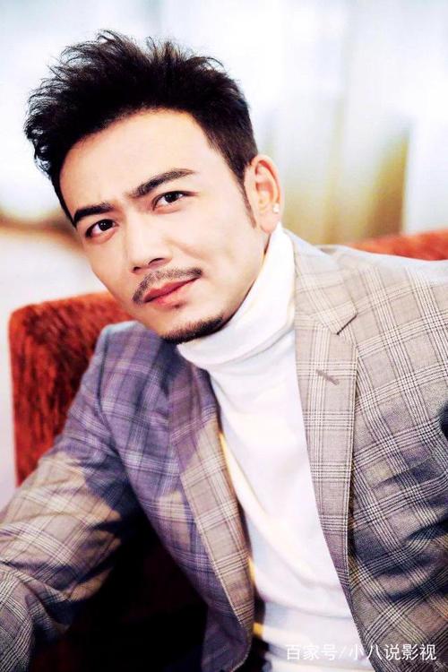 杨烁是如何在娱乐圈中实现高收入的？