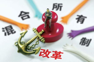 混改企业表现如何？哪些公司已成功实施混合所有制改革？