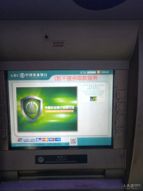 北海地区有哪些自助建站平台，哪个最适合中小企业使用？