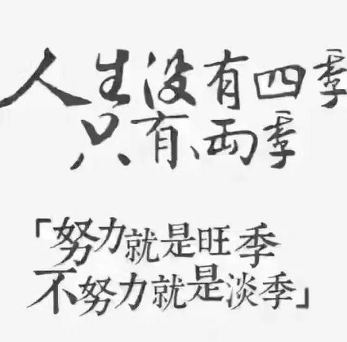 为什么有些人看似努力却始终挣不到大钱？