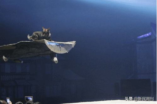 农村代打手工活，真的能赚到钱吗？收入情况如何？