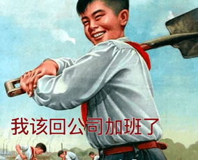 延庆观的鸡究竟源自何方，背后有何不为人知的故事？