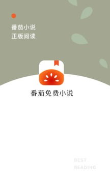 番茄畅听小说真的能带来可观收益吗？值得一试吗？