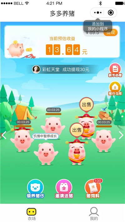 你知道这些养猪赚钱的小窍门吗？轻松提升收益！