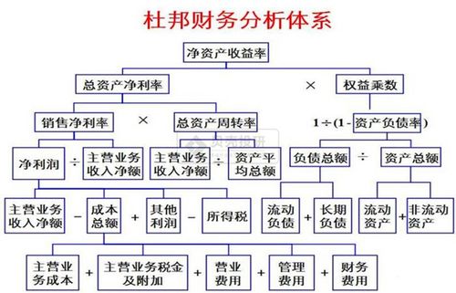 销售网络与体系构建有何高效策略？