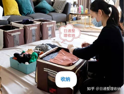 东北整理师如何选择副业？有哪些热门选择？