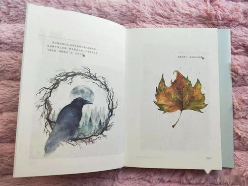 如果我是一棵树，500字描绘我的生命之旅？