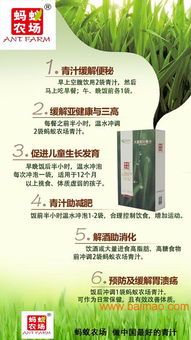 谁是最适合成为青汁代理的合作对象？如何挑选最佳青汁代理伙伴？