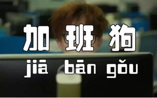 不加班的工作能保证收入吗？知乎网友热议职场生存法则