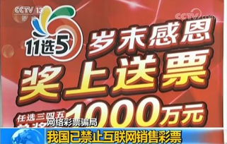 哪个彩票网站能让你真正盈利？揭秘背后的赚钱秘诀