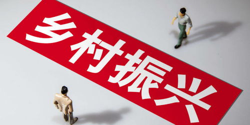 村里有哪些适合发展的副业项目？