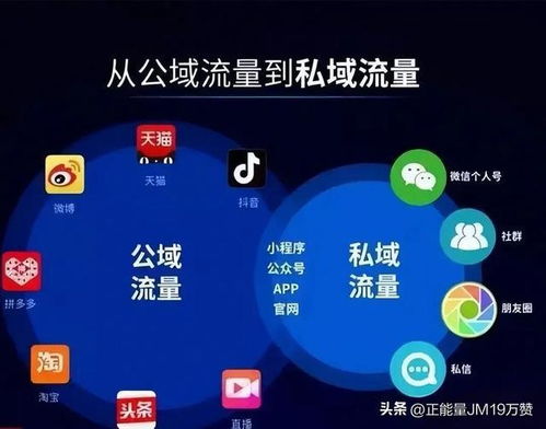哪个行业的短视频带货最赚钱？新手必看！