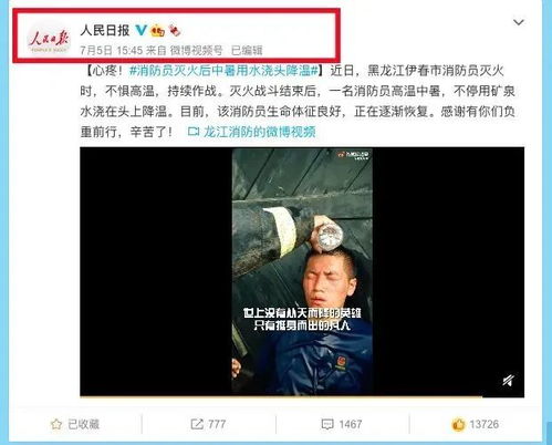 泰国明星纷纷涉足宠物副业，背后有何玄机？