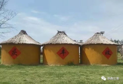 村里都在忙些什么副业？揭开乡村致富的秘密