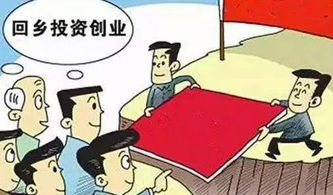 农村创业如何选？哪些生意能带来稳定收入？