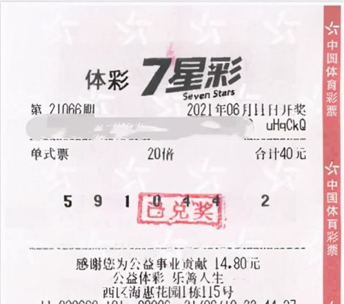 如何全面规划衣食住行与副业，实现生活与财富双丰收？