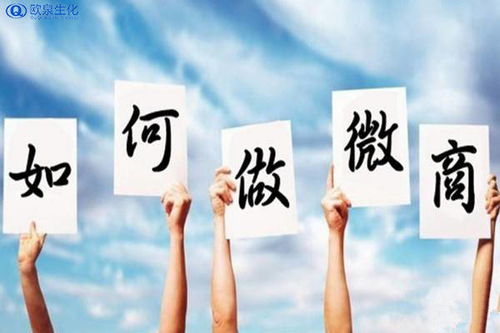 微商魅力团队究竟有何独特之处，能让众多人心动加入？