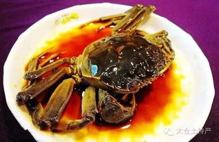 北京醉蟹自助直播平台究竟藏身何处？探寻美食直播的新天地