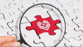 2019拼多多助力活动，你真的了解其内幕吗？