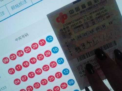 卖彩票的人真的能赚到钱吗？真相视频解析