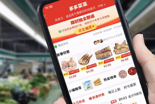 M豆如何实现盈利？揭秘其赚钱之道
