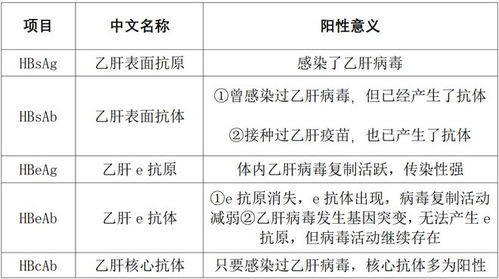 副业服务费究竟是什么意思？全面解析其内涵与作用