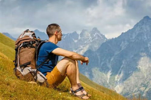 熊猫对旅行的热爱背后，藏着哪些不为人知的趣事？